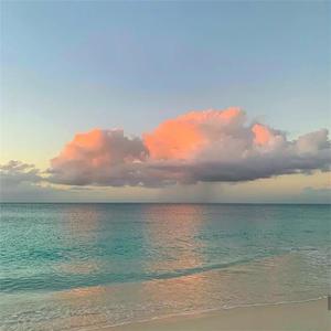 亚洲无码高清不卡一区
