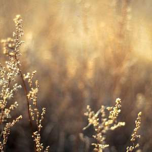 亚洲无码高清不卡一区
